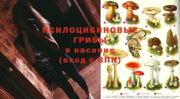 МДПВ Новодвинск
